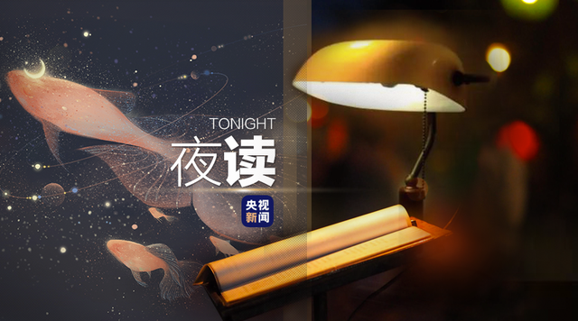 荷花像什么比喻句分享（35个精彩的比喻句）