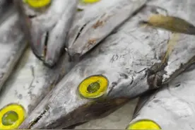 过年买带鱼，不管“黄眼睛”还是“黑眼睛”，牢记“4不买”图片