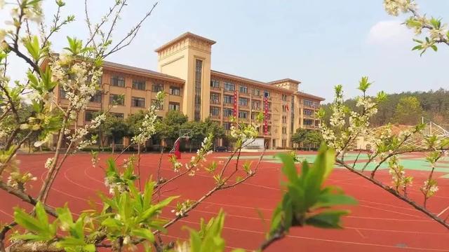K9和K12学校，在升学方面到底能有多大优势？