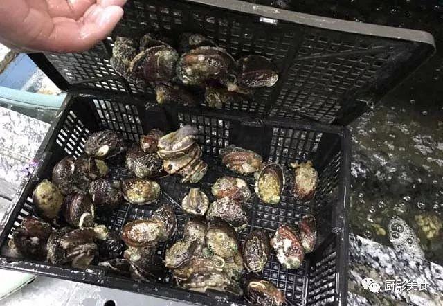 40头的花胶是几级 2025年花胶40头是什么意思?