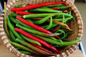 买5斤辣椒自制辣椒酱，香辣好吃下饭，做法简单，没有任何添加剂图片