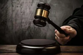 湖南长沙：“边牧”咬伤“博美”，上万的诊疗费谁来承担？图片