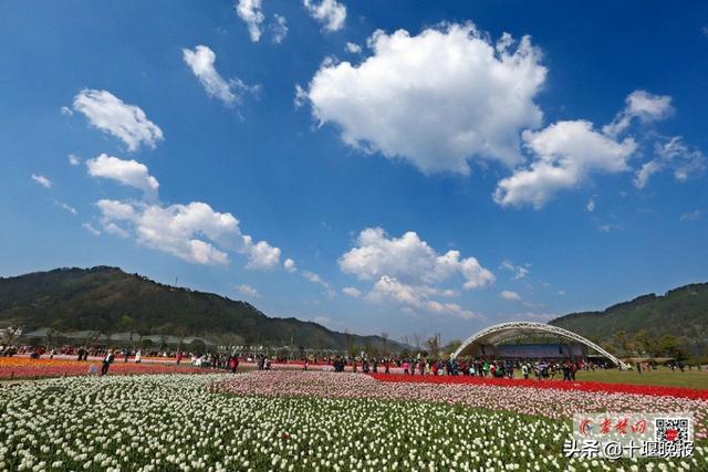 ʮ��Ե�α���Ϊ���й������˾ӳ��С�����Щ���Ƶ������