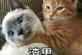怀孕后我提出结婚，男友拒绝还玩起了消失，我该怎么办？图片