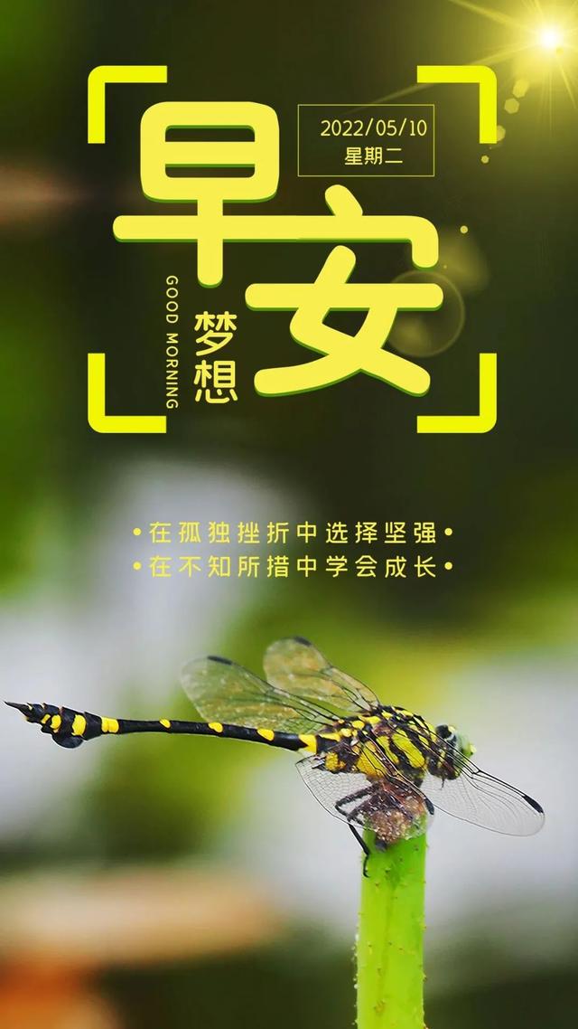 「2022.05.10」早安心语,正能量最美语录分享 早上好励志暖心短句