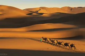 两口子冷战，谁也不理谁，晚上躺床上，也要用被子隔出“三八线”图片