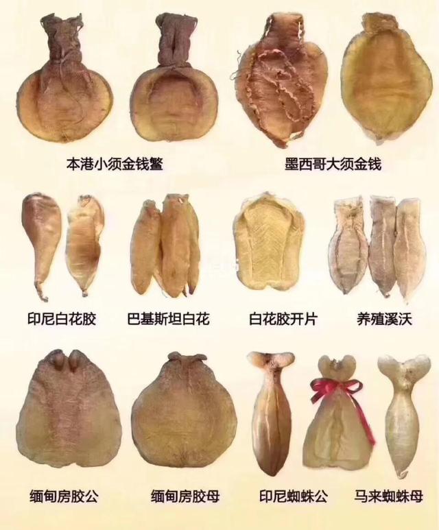 花胶心脏 花胶对心脏有什么好处