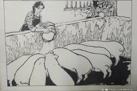 一套50年代的科普连环画原稿图片