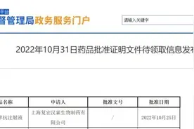 周彩存教授：斯鲁利单抗获批一线肺鳞癌适应症，两项高水准国际研究领跑PD-1抑制剂图片