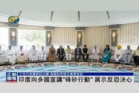 “基于‘朱砂行动’取得的成功”，印度派出7支全球宣讲团图片