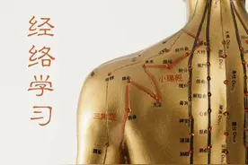 十二经络学习（10）：手少阳三焦经及三焦经上的原穴、洛穴和输穴图片