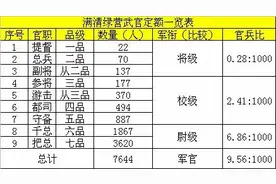 满清绿营武官定编定额一览图片