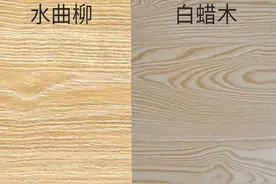 水曲柳和白蜡木有何区别？这篇文章告诉你答案图片