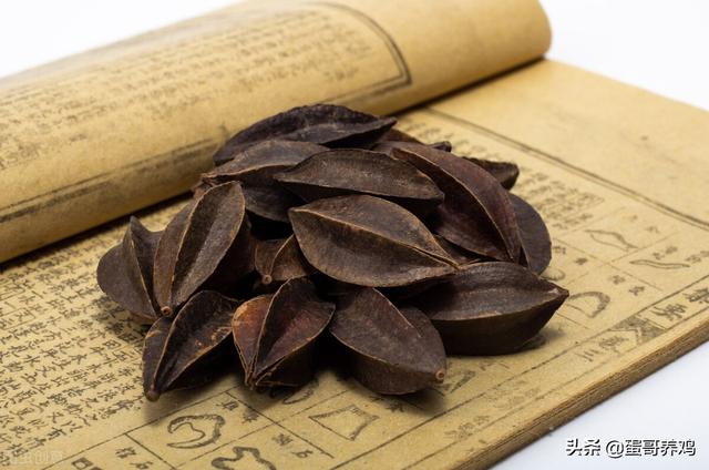 鸡皮肤痒用什么药