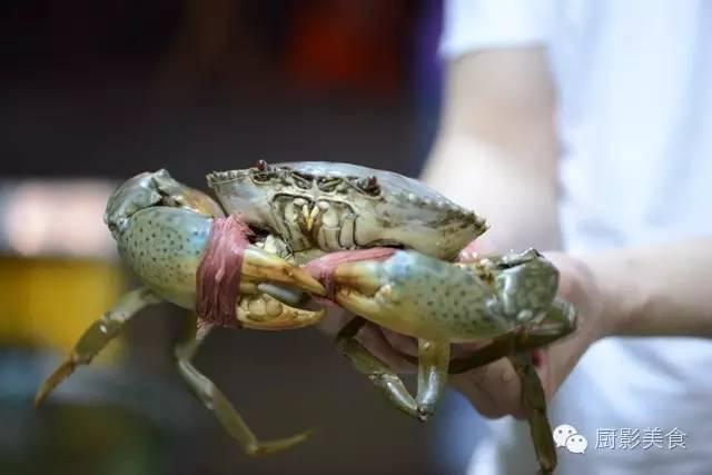 什么海鲜胶原蛋白最多 2025年海鲜含有胶原蛋白吗