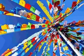 地震劫后余生后“五大感想”图片