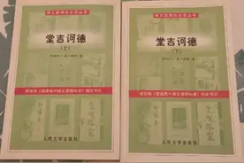 《堂吉诃德》为啥受到中学教科书的衷爱？其实它真的无甚阅读价值图片