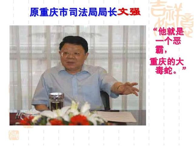 “黑社会保护伞”文强：纵横官场，霸占警花10年，和12位女星有染