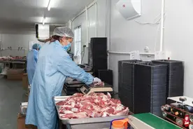 一年8000头！崇明这家合作社的羊肉为什么那么火图片