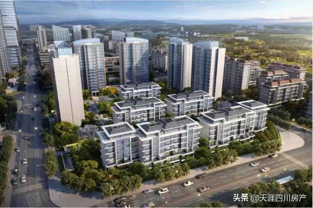 名校加持，东安湖再度“出圈”