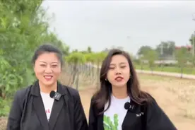 美食主播之寻尝姐妹图片