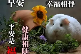 微信早上好问候语，简单生活，平安吉祥，开心自在，天冷加衣图片