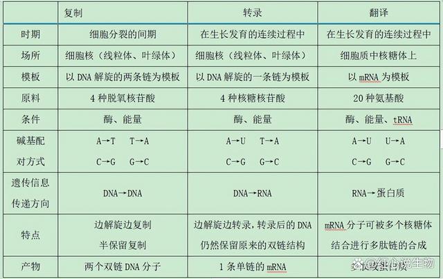 高中生物-基因的本质与表达