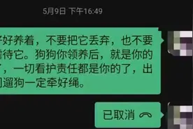 免费领养狗后次日280元卖给狗肉店？老板回应：他只说不想养了图片