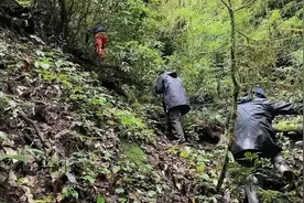 云南惊现恐怖“死亡之村”，村民接连神秘死亡，原因至今未解图片