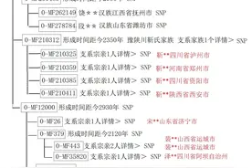 晋国公族的遗传标志图片