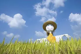 技术探索 | 打造个性化的“智能稻草人”图片