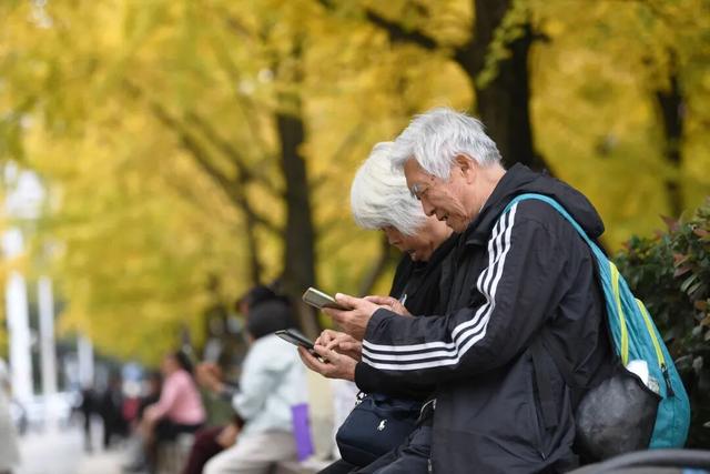 南明区：初冬时节好风景
