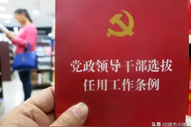 常务副职就是排名第一的副职？都比其他副职高一级？答案是否定的图片