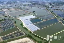 苏州2家家庭农场入选省家庭农场典型案例图片