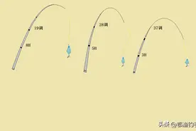 新手选鱼竿怎么用怎么选图片