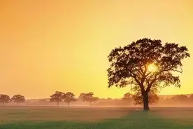 50句人生格言励志座右铭图片