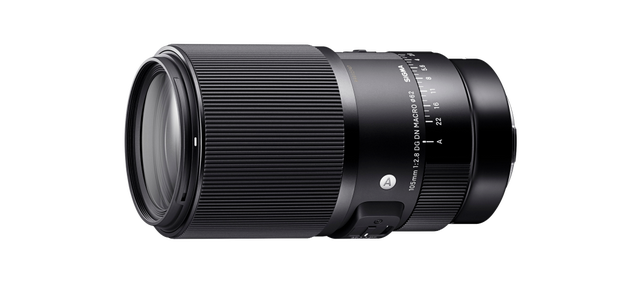 小蚂蚁梦幻王国（太震撼适马105mm微距镜头下的梦幻蚂蚁王国）