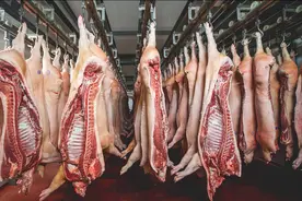 买排骨，注意分清“小排”和“大排”，口感差别大，可别再买错了图片