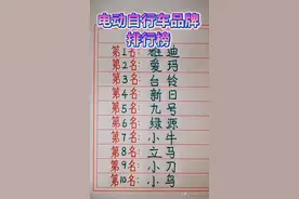 电动自行车品牌排行榜，终于有人整理好了，收藏起来看看图片