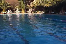 戒酒成功，身体变化，没有惊喜，归于宁静，笑对当下图片