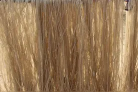 是不是红薯粉条，用这5招检验一下就知道了，谁也骗不了你，实用图片