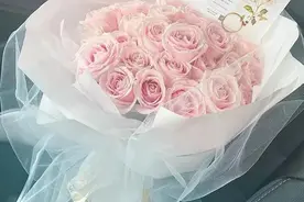 情人节到了，送给对象什么花更合适？6种选择（含花语）图片