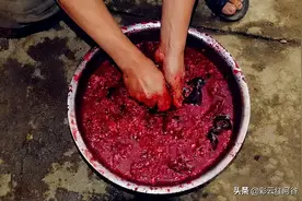 云南人，食物链顶端的真王者图片