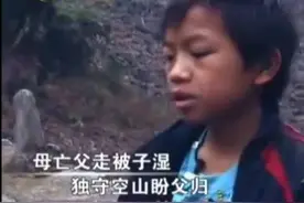广西14岁男孩失去母亲后，住木棚吃野菜生存，独居深山等父亲回来图片