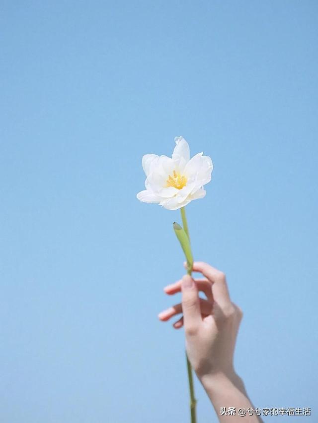ʺϷȦĸɾİ