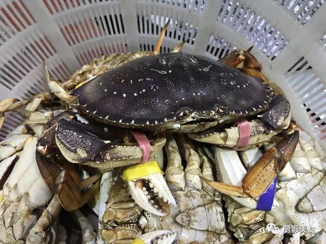 什么海鲜胶原蛋白最多 2025年海鲜含有胶原蛋白吗