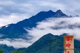 地球上最大的蛇能有多大？秦岭真的有盘山大蛇？图片
