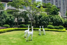 入闽10年，龙湖在福建有了发展新支点图片