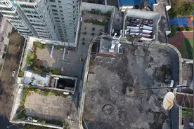 楼顶种菜种花谁来管？图片