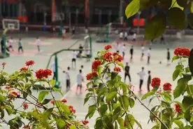美图来袭！绵阳这些学校秋光正好，你觉得哪张最惊艳？图片